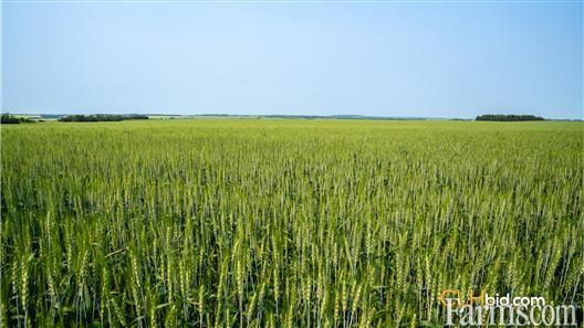 Urban County Line for Sale, Edmonton, Alberta