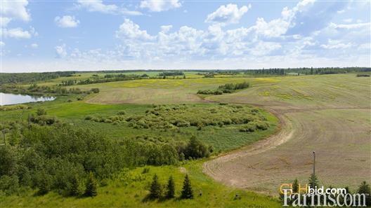 Primetime At Alpine for Sale, Benito, Manitoba