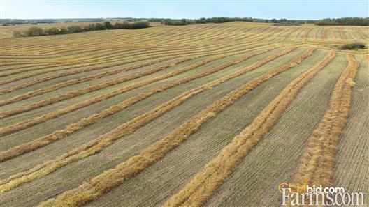 Super Elite - 320 Acres for Sale, Innisfree, Alberta