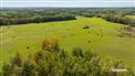 Greenbelt Ranching for Sale, Whitecourt, Alberta