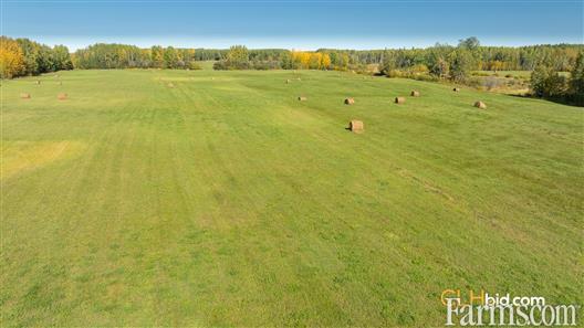 Greenbelt Ranching for Sale, Whitecourt, Alberta