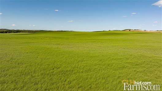 Vermilion Vista - Nov 4, 2025 for Sale, Vermilion, Alberta