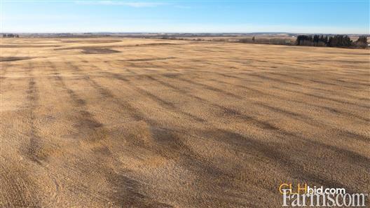 Quad Opportunity for Sale, Vegreville, Alberta