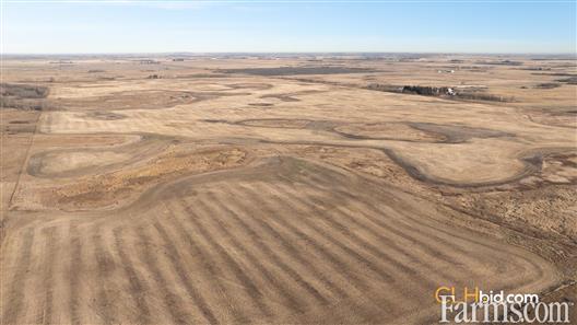 Quad Opportunity for Sale, Vegreville, Alberta