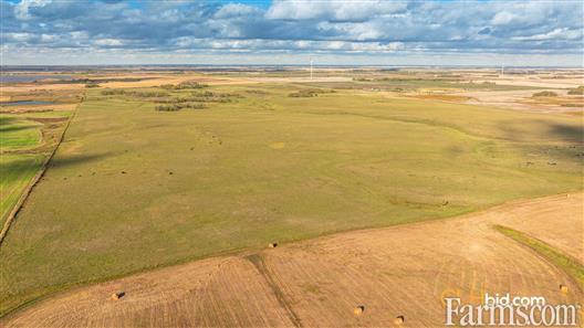 Kipling Crop & Cattle for Sale, Kipling, Saskatchewan