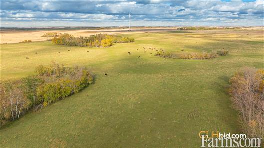 Kipling Crop & Cattle for Sale, Kipling, Saskatchewan