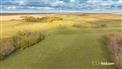 Kipling Crop & Cattle for Sale, Kipling, Saskatchewan