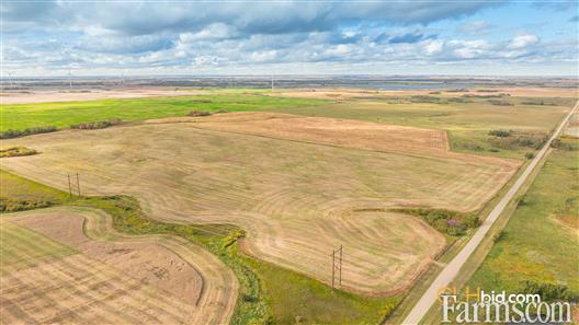 Kipling Crop & Cattle for Sale, Kipling, Saskatchewan