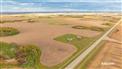 Kipling Crop & Cattle for Sale, Kipling, Saskatchewan