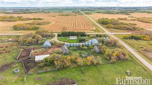 Kipling Crop & Cattle for Sale, Kipling, Saskatchewan