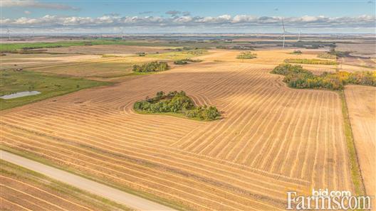 Kipling Crop & Cattle for Sale, Kipling, Saskatchewan