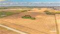 Kipling Crop & Cattle for Sale, Kipling, Saskatchewan