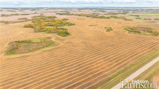 Kipling Crop & Cattle for Sale, Kipling, Saskatchewan