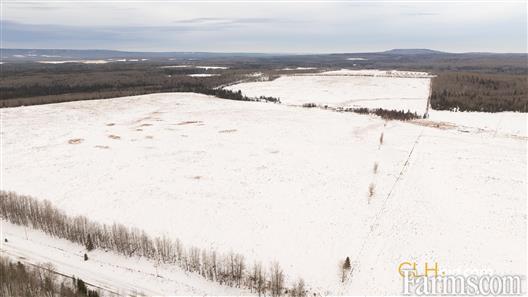 Grazing Grounds for Sale, Niton Junction, Alberta