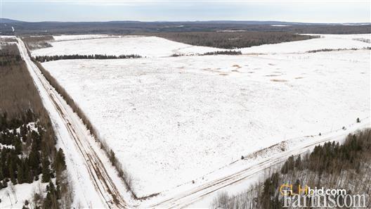 Grazing Grounds for Sale, Niton Junction, Alberta