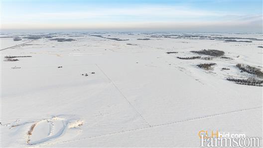 Cash Cow for Sale, Vegreville, Alberta