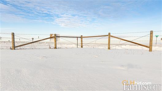 Cash Cow for Sale, Vegreville, Alberta