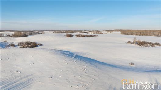 Bullish On Beef for Sale, Innisfree, Alberta