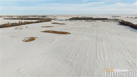 Triple Horsepower for Sale, Tofield, Alberta