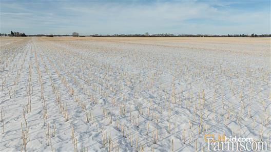 Triple Horsepower for Sale, Tofield, Alberta