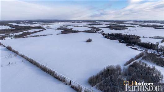 Unrestrained Funky for Sale, Hythe, Alberta