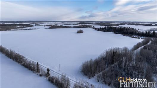 Unrestrained Funky for Sale, Hythe, Alberta