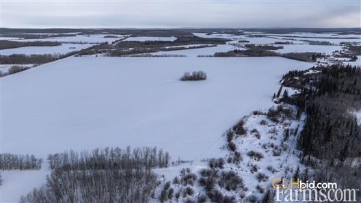 Unrestrained Funky for Sale, Hythe, Alberta