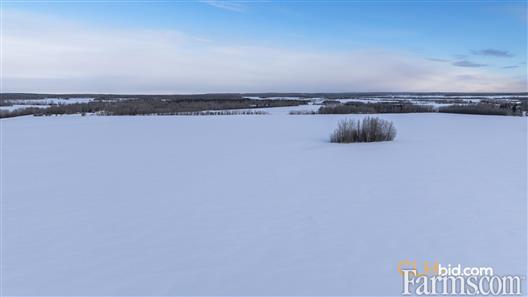 Unrestrained Funky for Sale, Hythe, Alberta