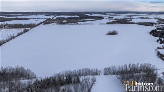 Unrestrained Funky for Sale, Hythe, Alberta