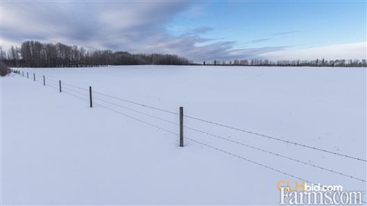 Unrestrained Funky for Sale, Hythe, Alberta