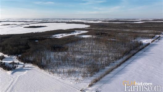 The Real Bonanza for Sale, Bonanza, Alberta