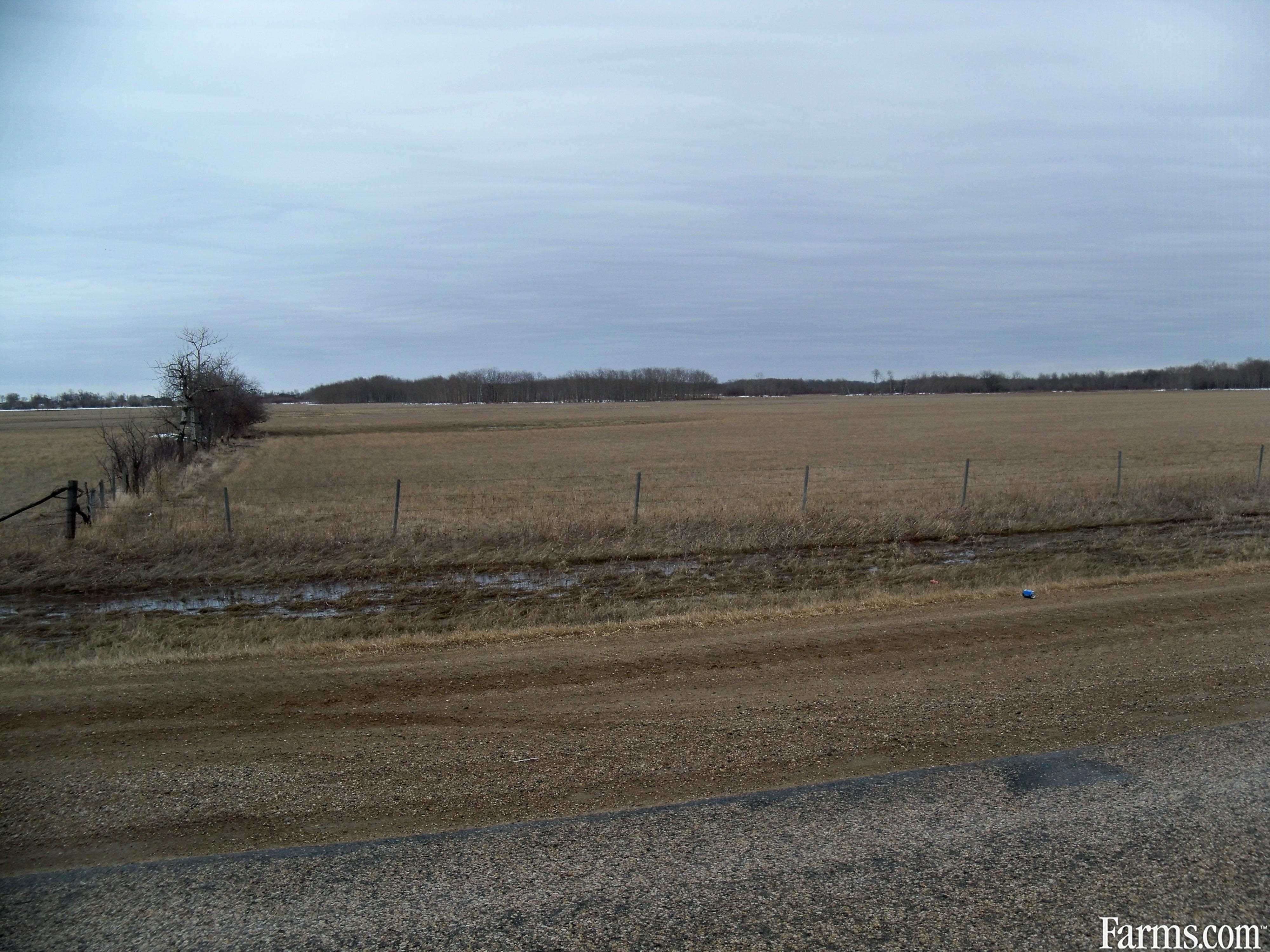 134 Acres for Sale, Ochre River, Manitoba