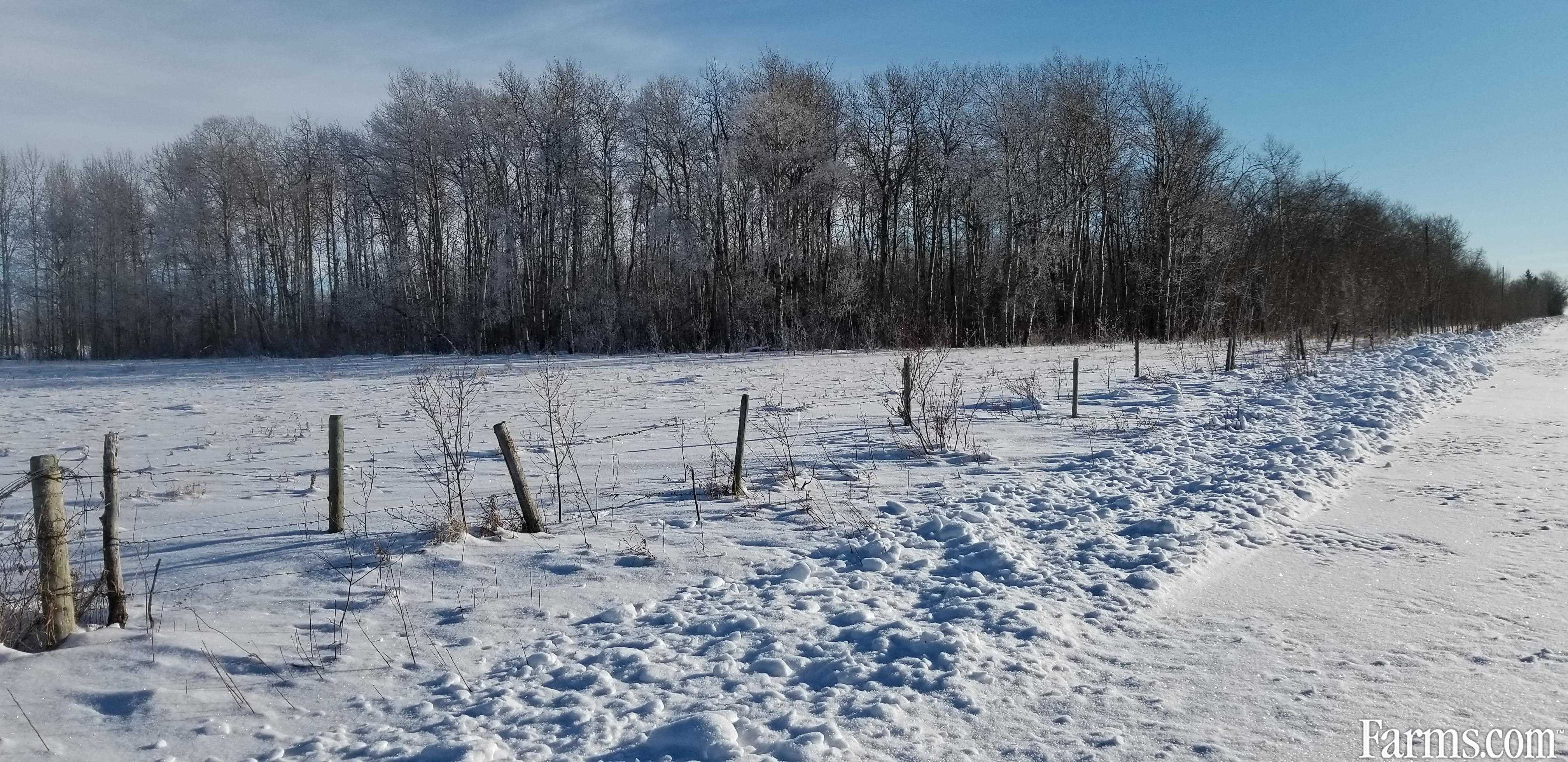 Acreage without house for Sale, Gilbert Plains, Manitoba