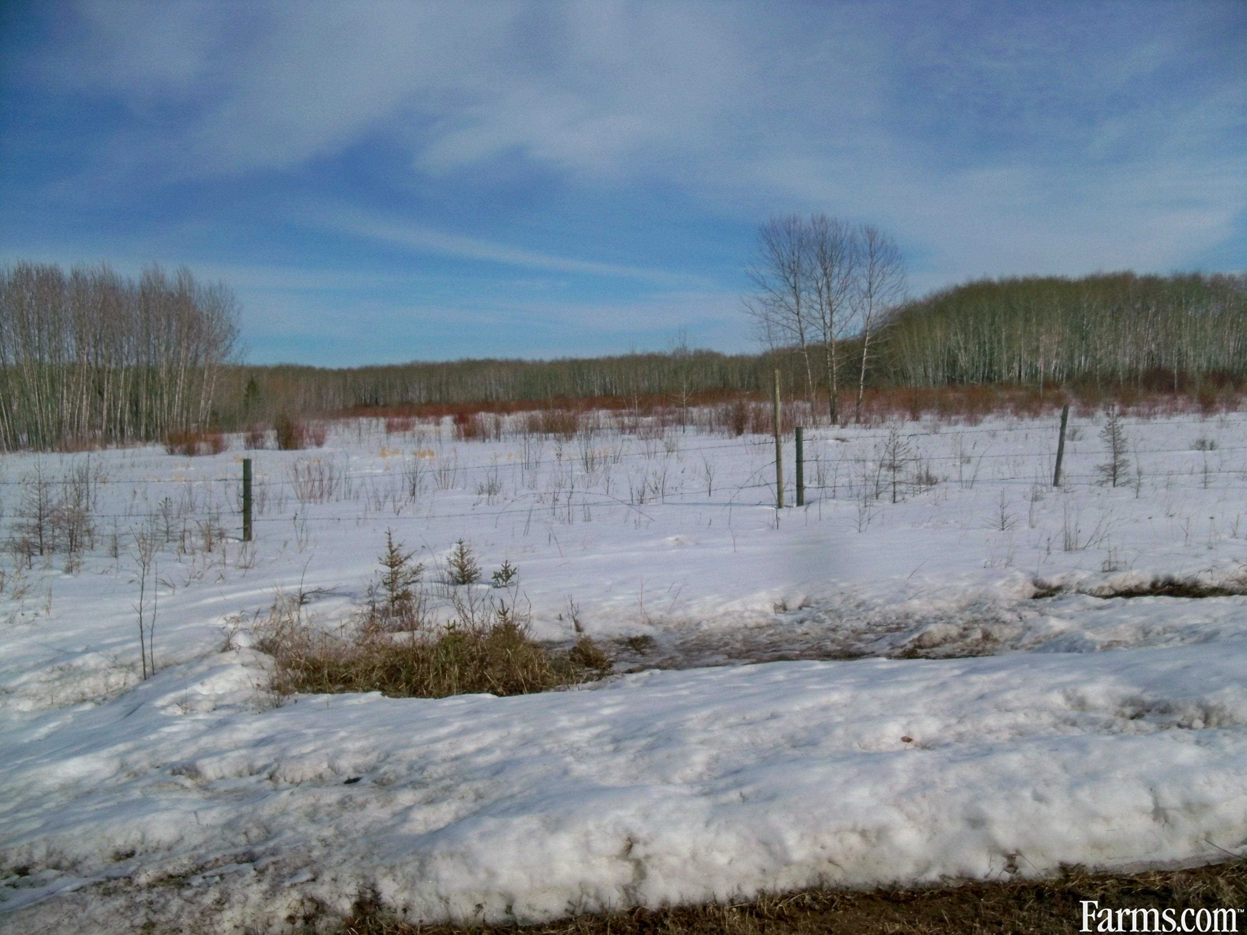 240 acres land for Sale, Ethelbert, Manitoba