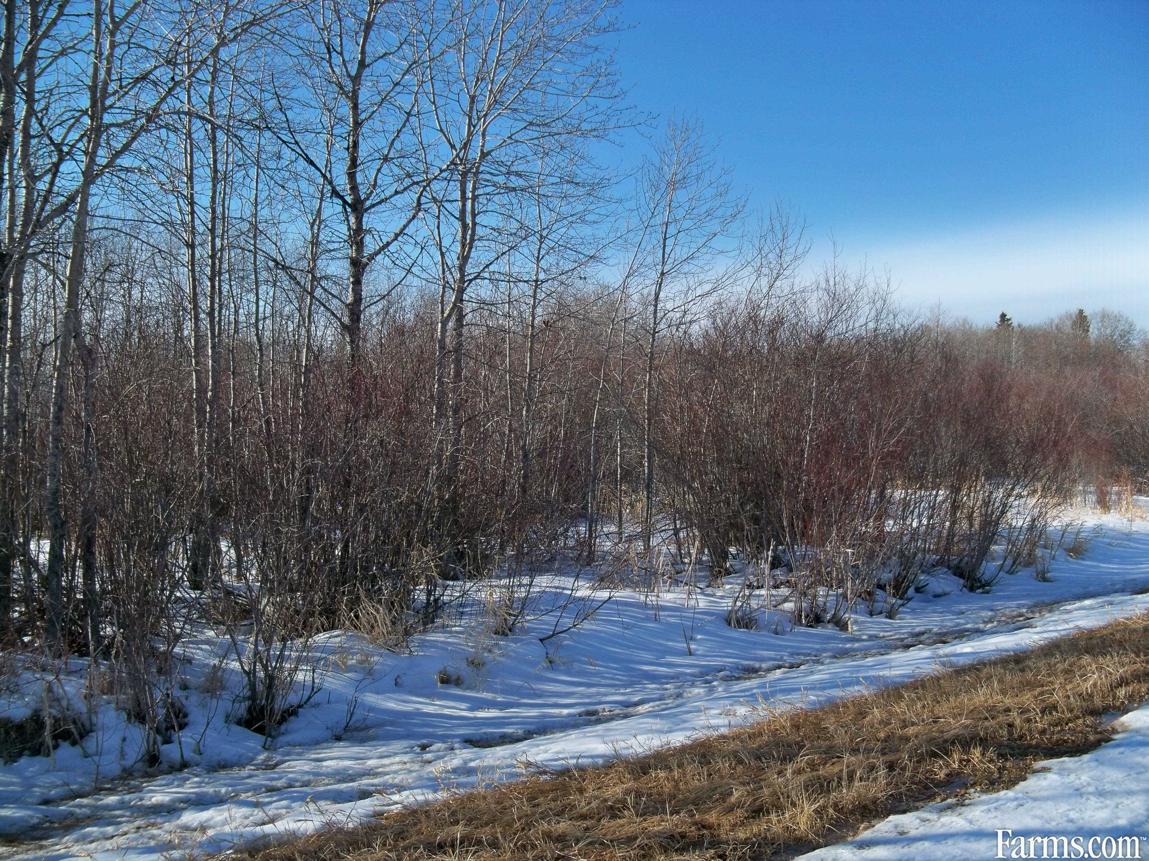 240 acres land for Sale, Ethelbert, Manitoba