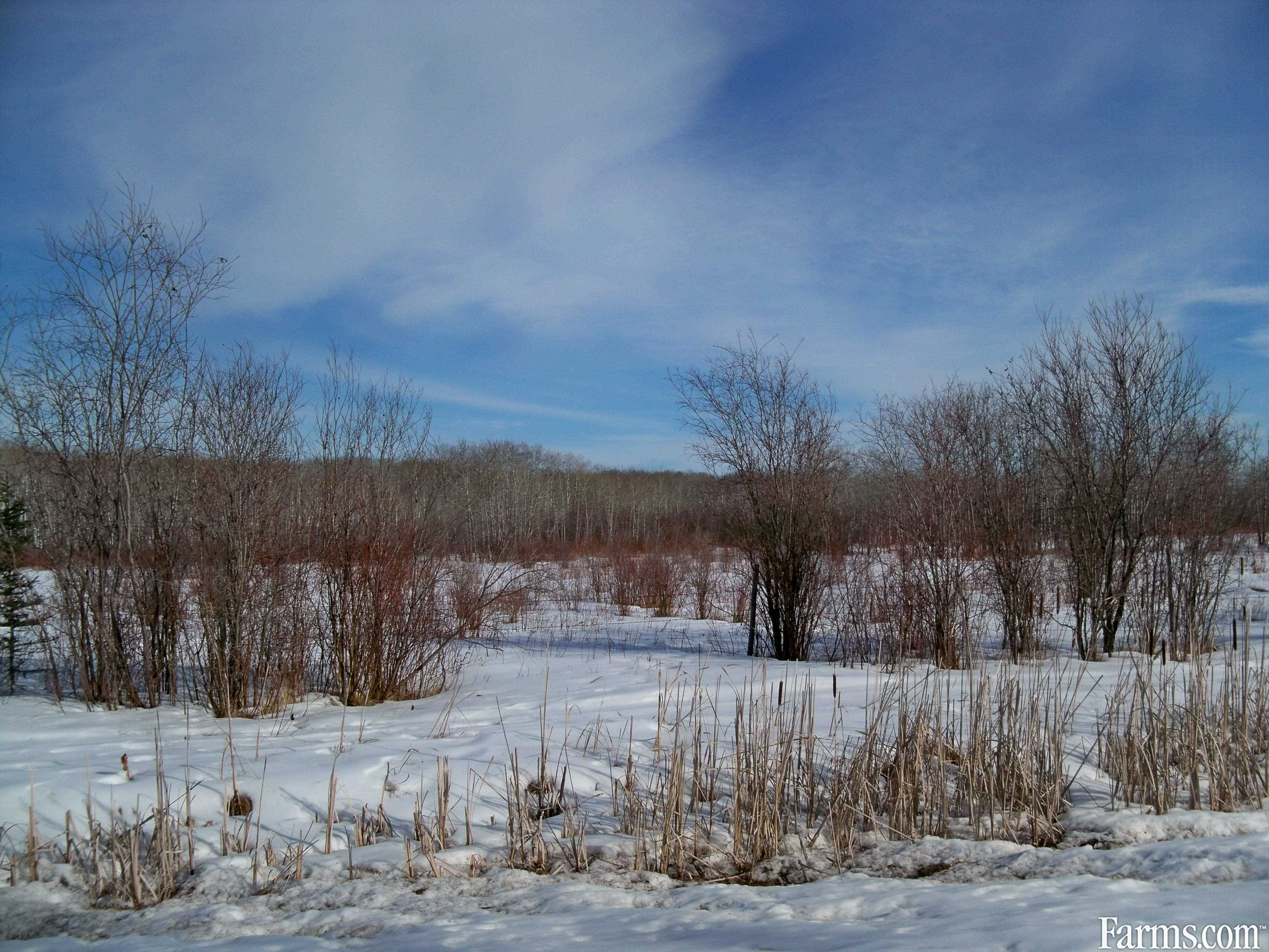240 acres land for Sale, Ethelbert, Manitoba