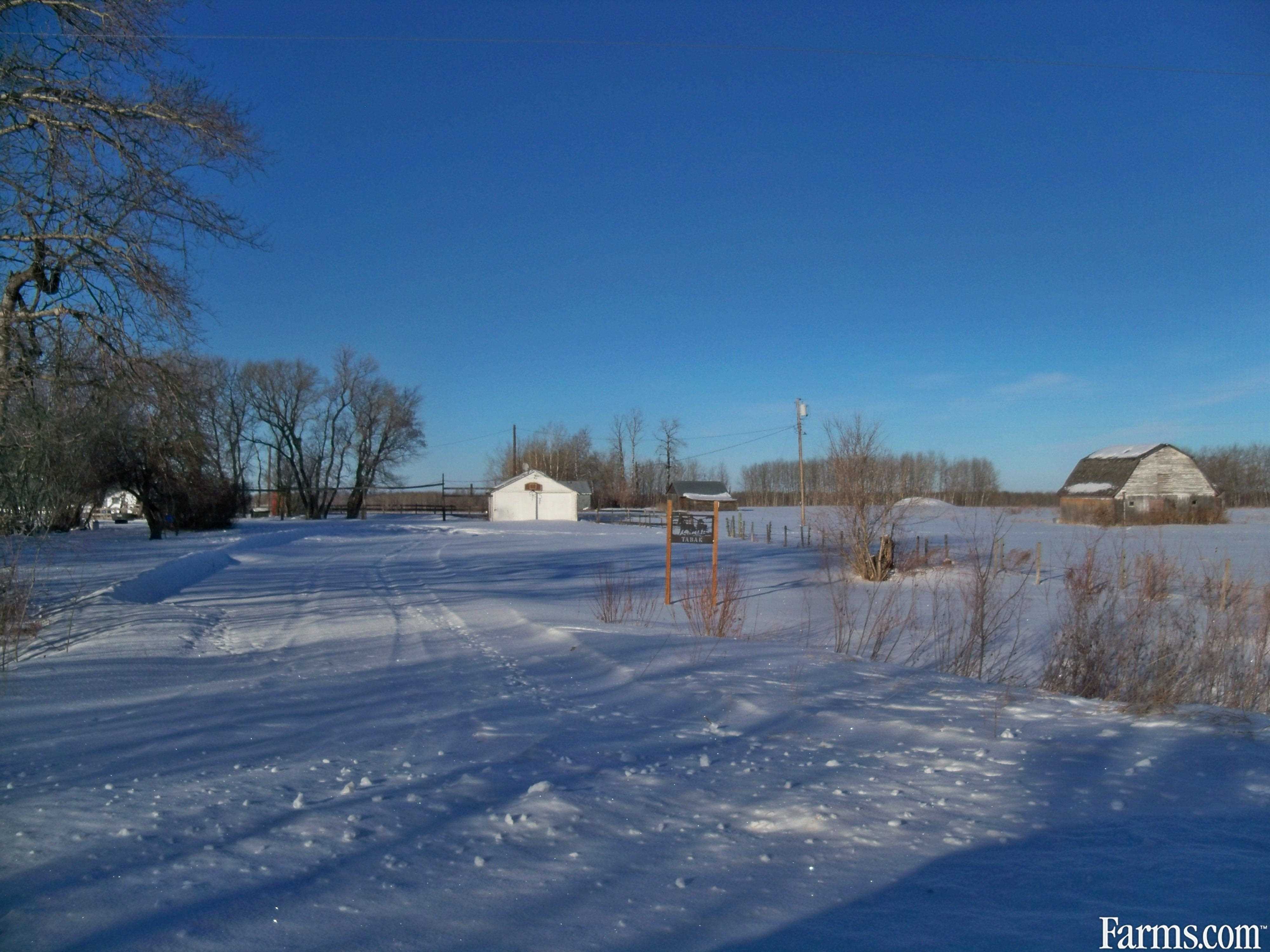 Acreage without house for Sale, Gilbert Plains, Manitoba