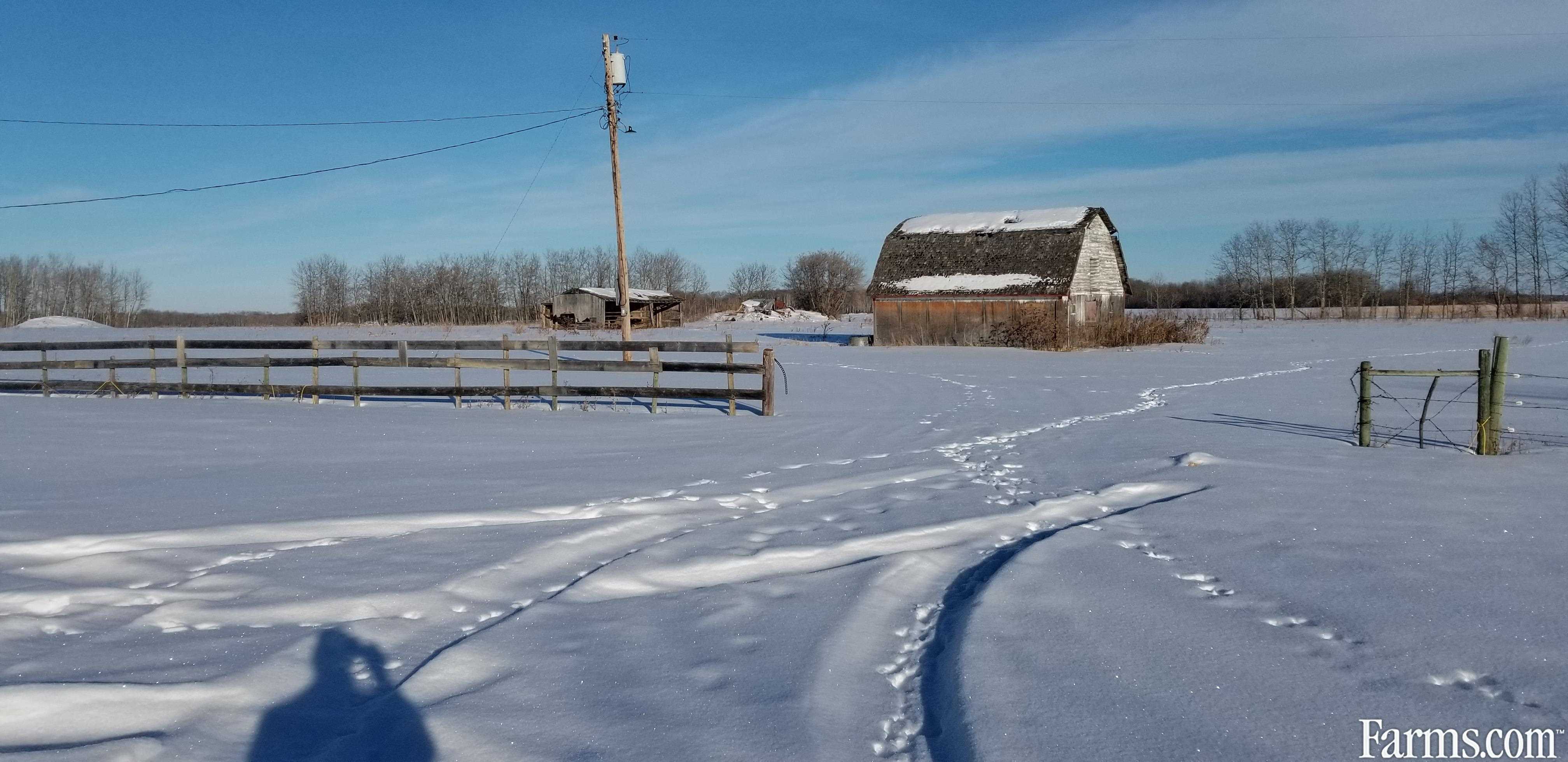 Acreage without house for Sale, Gilbert Plains, Manitoba