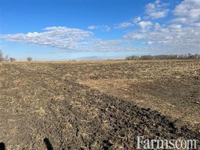 Cattle Farm at Lenore, Manitoba for Sale, Lenore, Manitoba