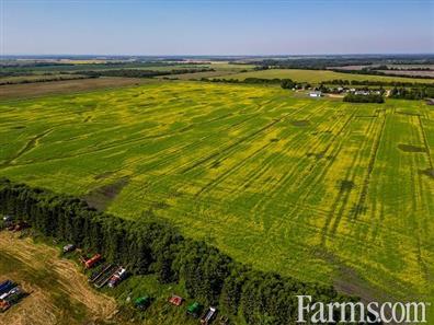 Grain Farm for Sale, Dauphin, Manitoba