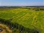 Grain Farm for Sale, Dauphin, Manitoba