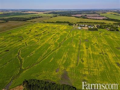 Grain Farm for Sale, Dauphin, Manitoba