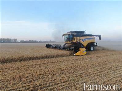 Grain Farm for Sale, Dauphin, Manitoba