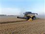 Grain Farm for Sale, Dauphin, Manitoba