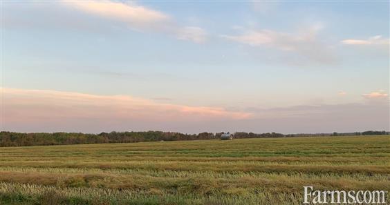 Grain Farm for Sale, Dauphin, Manitoba