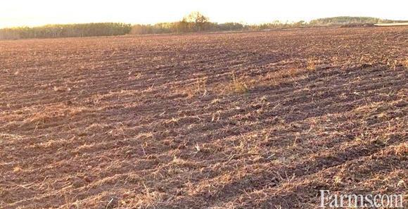 Grain Farm for Sale, Dauphin, Manitoba