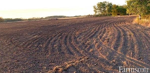 Grain Farm for Sale, Dauphin, Manitoba