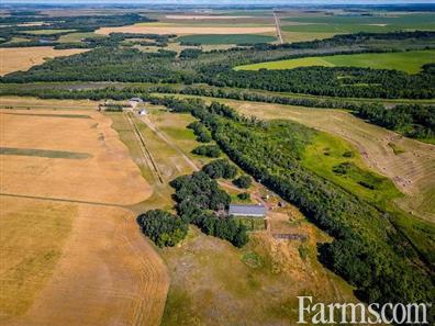 Residential Hobby Farm for Sale, Brandon, Manitoba