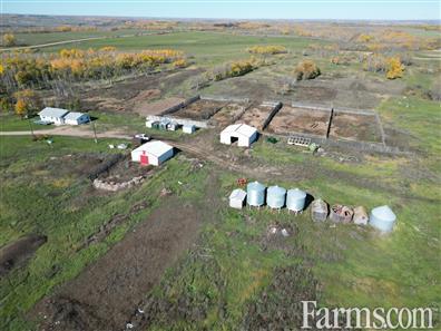 Half Section with Yardsite for Sale, Roblin, Manitoba