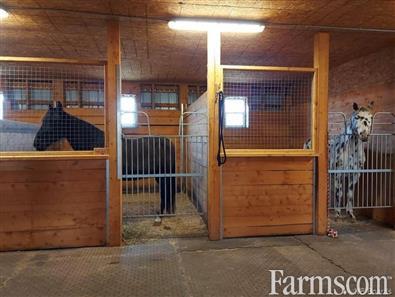 Equestrian Farm for Sale, Bedell, New Brunswick